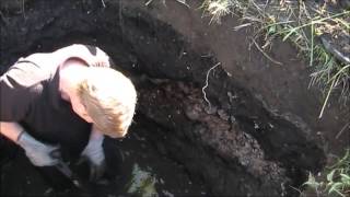 Bottle digging June 2017