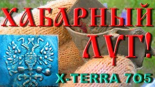 Хабарный луг! Пятак Екатерины и не только. Коп с теркой 705