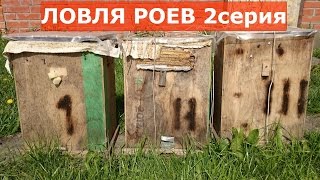 Ловля роев 2 серия