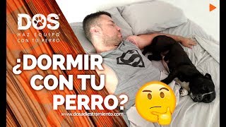 ¿Es malo DORMIR con el PERRO en la CAMA? ?????