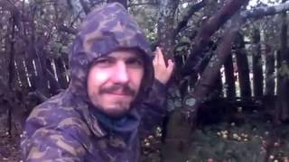 МОЙ ОГОРОД ГДЕ ВСЕ РАСТЕТ | ОСЕННЯЯ ПОДГОТОВКА ГРЯДОК К ЗИМЕ