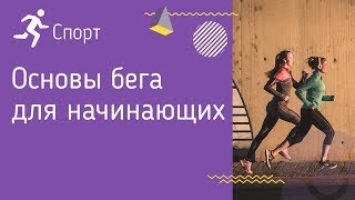 Основы бега