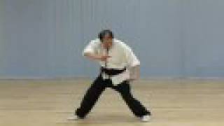 Shaolin White Crane Kung Fu 3 & 4 DVD Preview