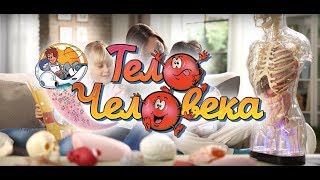 «Как устроено тело человека» (ДеАгостини). Презентация коллекции