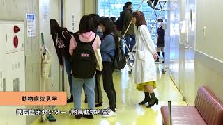 麻布大学 ミニ・オープンキャンパス2018年・春