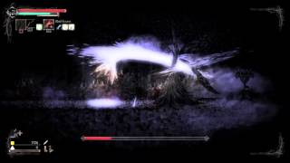 Salt and Sanctuary Murdiella Mal boss fight