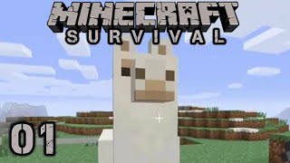 Minecraft Survival #1 | The First Day ! | Luna SSP