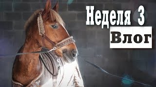 УЧИМ РАНВЕРС | Мои ученики | Конный влог 3