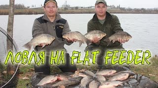 Ловля огромных карасей и карпов  на флэт метод. Flat Feeder HD