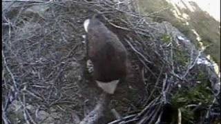 SR Nest: Switch back to K-34 @ 4:14p.m.