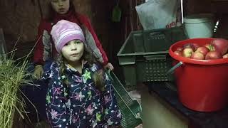Она всё режет/На хозяйстве/КОЗЫ, КУРЫ, УБОРКА в сарае/Грязная бочка//Делаем уроки