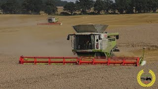 2 x Claas Lexion 770 mit Vario 1230 und John Deere