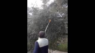 Volpi Zeytin hasat makinası