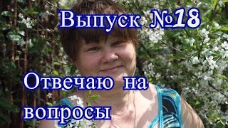 Прямая трансляция №18 (03.12.2016 г.).Отвечаю на Ваши вопросы.