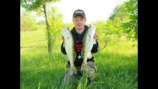 НАРВАЛИСЬ НА РАЗДАЧУ СУДАКА!!! Ловля Судака ночью на Ратлины и Воблеры