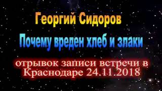 О вреде хлеба и злаков. Георгий Сидоров