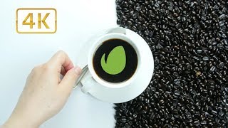 Coffee Logo Reveal | After Effects template