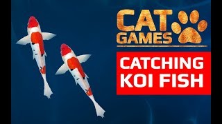 CAT GAMES - ? CATCHING KOI FISH (ENTERTAINMENT VIDEOS FOR CATS TO WATCH) 60FPS