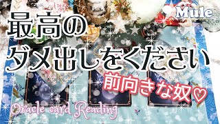 最高のダメ出しをください♪オラクルカード