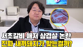 논란의 서초갈비! 과연 애저 삼겹살의 진실은 무엇일까?