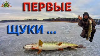 Зимняя рыбалка. Первые ЩУКИ этого сезона.