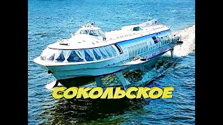 Сокольское (города России)