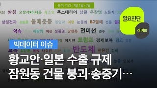 [빅데이터 이슈] 황교안·일본 수출 규제·잠원동 건물 붕괴·송중기·일본 정부 / KBS뉴스(News)