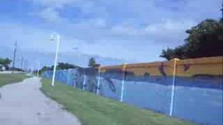 Riding my Autobike past the Wyland Whaling Wall