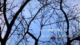 北の旅人/石原裕次郎・弦哲也　song by新二郎　写真編集：nobu