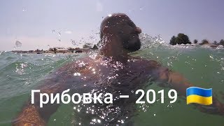 Грибовка - 2019 / Сравниваем с Каролино Бугаз и Затокой