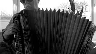 Souvenirs - Demis Roussos -  Russian accordion (на баяне)