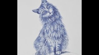 How to Draw a Cat With Fountain Pen