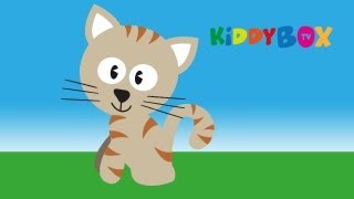 Es tanzt ein Bi-Ba-Butzemann - Kinderlieder (KIDDYBOX.TV)