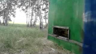 Купить мед в Кургане и Курганской области.
