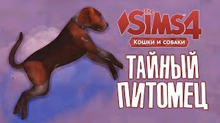 [TS4] Тайный питомец #5 | Зима | THE SIMS 4 КОШКИ И СОБАКИ
