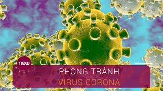Phòng tránh thế nào để không nhiễm virus Corona? | VTC Now