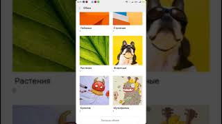 MIUI 9 ARES 8.3.29 v.001 ot mipro & Alex agir. На leeco cool changer s1