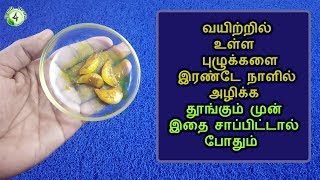 வயிற்று புழுக்கள் உடனே வெளியேற இதை இரவு சாப்பிட்டால் போதும் |  kudal pulukkal in tamil