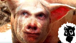5 УПОРОТЫХ МОНСТРОВ из МИФОЛОГИИ  ??? [Черный кот]