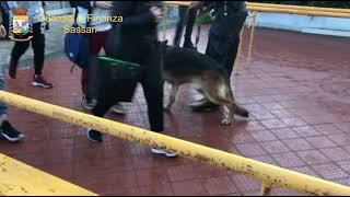 Olbia. Spaccio di sostanze stupefacenti nelle scuole: fermato un 16enne