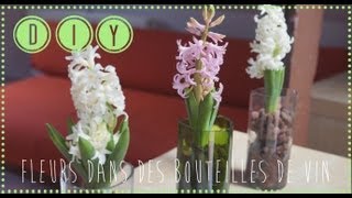 DIY: Plantes dans des bouteilles de vin