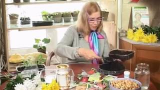 Лучки пучки.  Серия 131.  Сеем семена перца на рассаду.