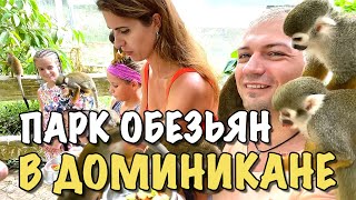 ВЛОГ: Парк обезьян в Доминикане | Экскурсия Monkey Land Punta Cana