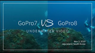 수중촬영 비교 / GoPro7 vs GoPro8 (제주바다)