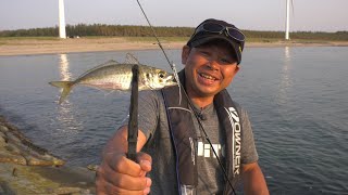 #379 鳥海山を望む爆釣アジングゲーム～ライトタックルで体感する山形の豊穣～