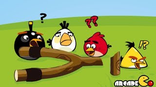 Angry Birds Go Crazy - Angry Birds Eggs Saving Adventure