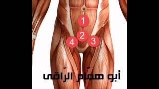 علاج عدم القدرة على الجماع باللمسة الشفائية للشيخ أبى همام الراقى