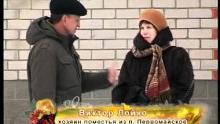Поместье Виктора Лойко в Первомайском