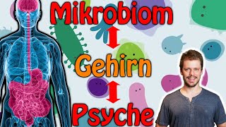 Neu: Wie das Mikrobiom das Gehirn krank macht! So beeinflusst Ernährung PSYCHE und die DARMFLORA