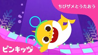 うみのダンスパーティー | サメのかぞく | ちびザメとうたおう | ピンキッツ童謡